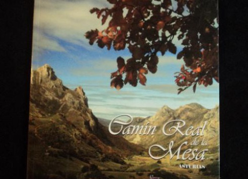 Portada del libro de CAMIN REAL DE LA MESA. ASTURIAS. GOBIERNO DE ASTURIAS 2008 88 PAG