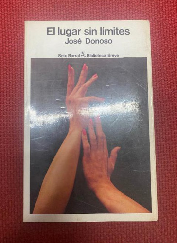 Portada del libro de El Lugar Sin Limites