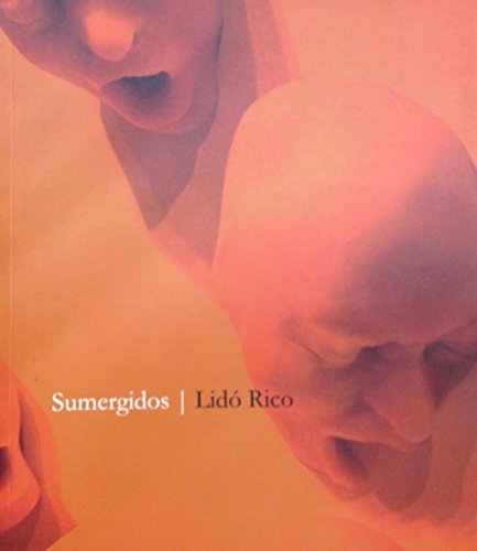 Portada del libro de Lido Rico. Sumergidos