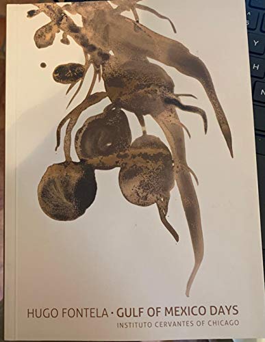 Portada del libro de Hugo fontela, Gulf of Mexico dayf