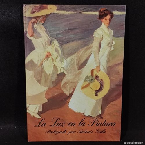 Portada del libro de La Luz en la pintura