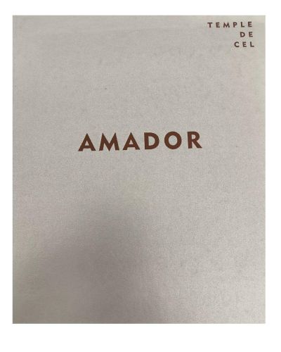Portada del libro de Temple del cel