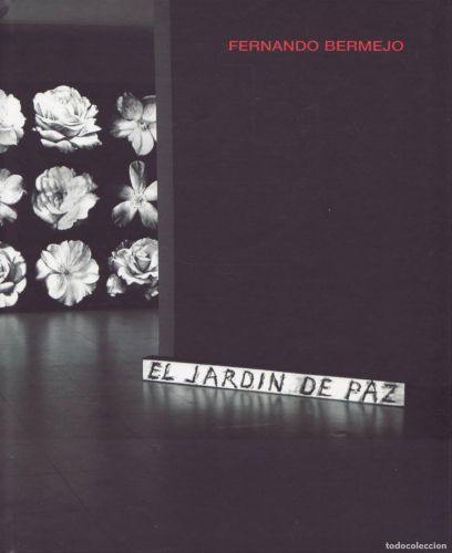 Portada del libro de Fernando Bermejo
