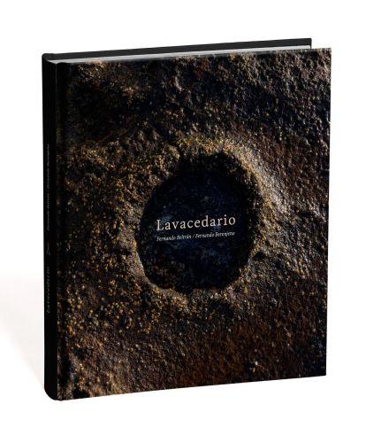 Portada del libro de Lavacedario*