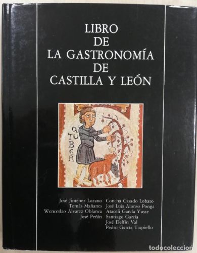 Portada del libro de LIBRO DE LA GASTRONOMÍA DE CASTILLA Y LEÓN