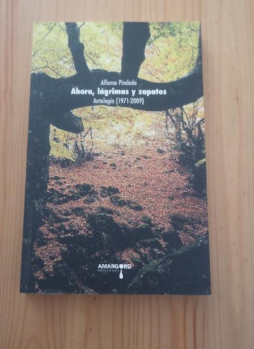 Portada del libro de AHORA LAGRIMAS Y ZAPATOS ANTOLOGIA 1971 2009 - PINDADO, ALFONSO- ED AMARGORD