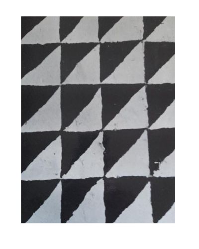 Portada del libro de EL CONTINENTE NEGRO.