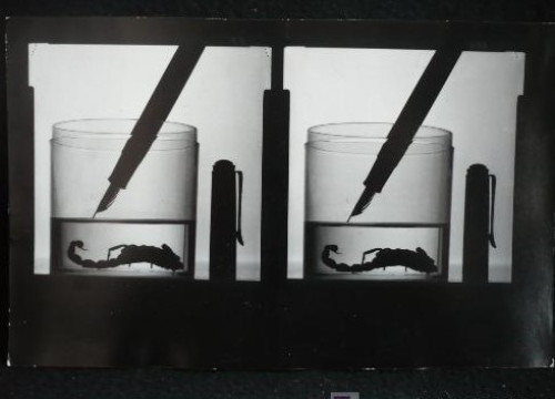 Portada del libro de Vaso con lapiz 13x20