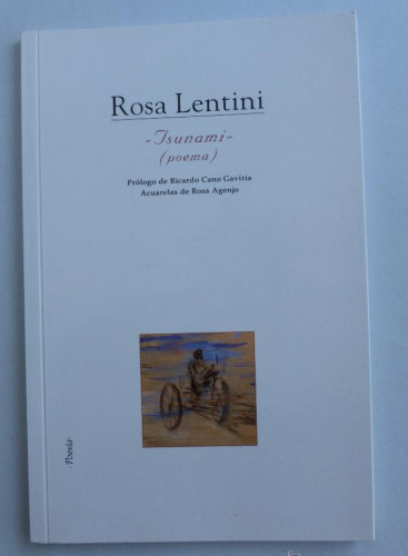 Portada del libro de TSUNAMI. ROSA LENTINI. IGITUR. 2013 50 PAG