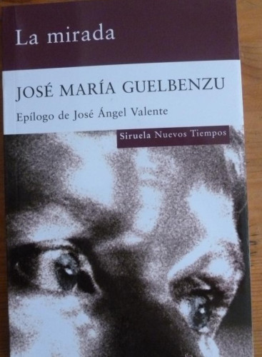 Portada del libro de LA MIRADA. JOSE MARIA GUELBENZU. SIRUELA. 2010 109 PAG