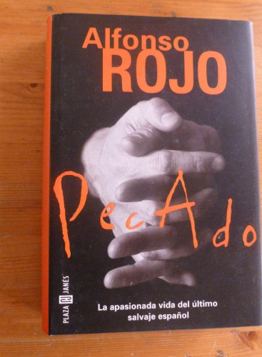 Portada del libro de Pecado