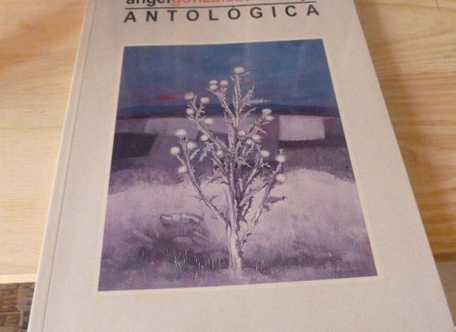 Portada del libro de ANTOLÓGICA GONZÁLEZ DE LA ALEJA JUNTA DE COMUNIDADES DE CASTILLA LA MANCHA 1999 93pp