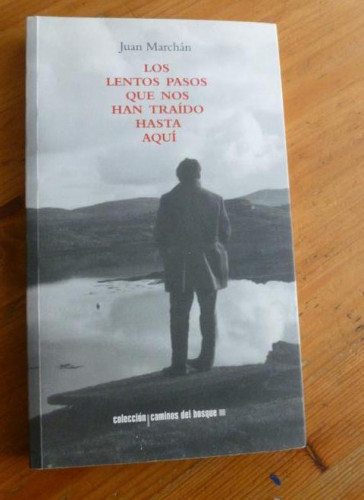 Portada del libro de Los lentos pasos que nos han traído hasta aquí (Caminos del bosque)