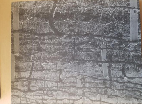 Portada del libro de Gesto y orden