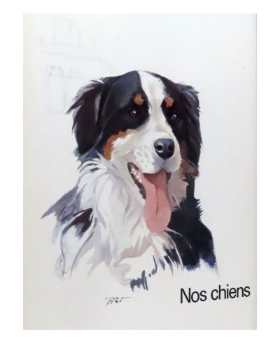 Portada del libro de Nos chiens