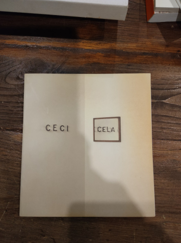 Portada del libro de Catálogo MARKUS RAETZ - IVAM Centre Julio González de 1993