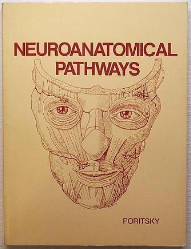 Neuroanatomical Pathways