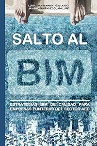 Salto al BIM