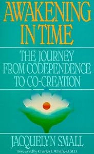 Awakening in Time: The Journey
