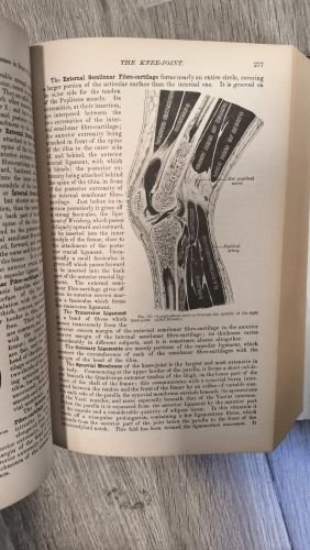 Grays Anatomy The Classic Collection