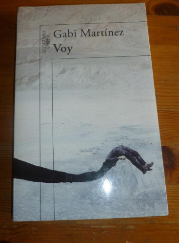 Portada del libro de VOY. GABI MARTINEZ. ED. ALFAGUARA. 2014 388 pp