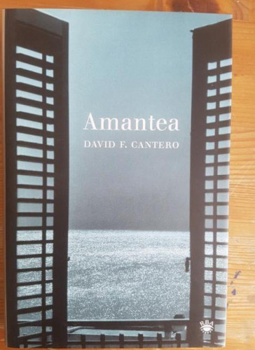 Portada del libro de Amantea Cantero, David F Publicado por RBA, Barcelona (2005)
