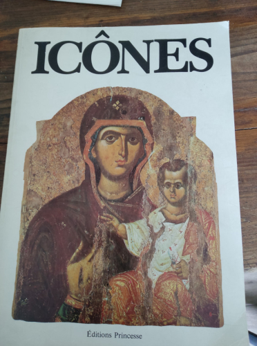 Portada del libro de ICONES. - GORDANA BABIC