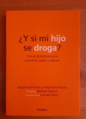 Portada del libro de Y SI MI HIJO SE DROGA?. begoña del pueyo Publicado por GRIJALBO (2005) 234pp