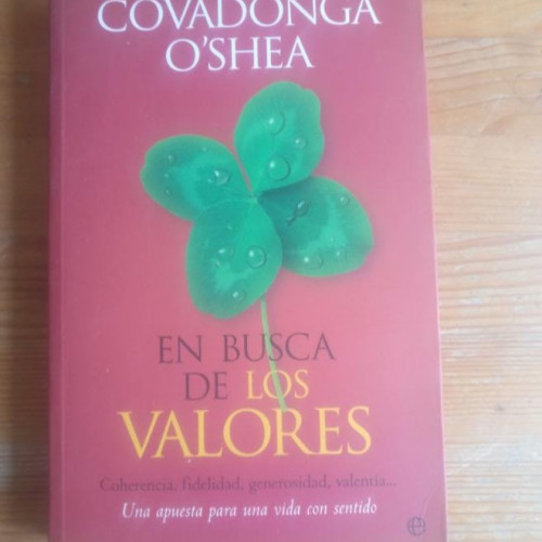 Portada del libro de N BUSCA DE LOS VALORES / Covadonga O´Shea / 2006 281pp