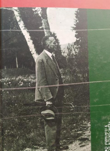 Portada del libro de Los hermanos Tanner. - Walser, Robert. SIRUELA