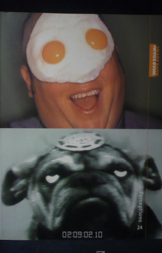 Portada del libro de IMAGE BANK. PERCEPTIONS. 24. 250 PAG 30X23