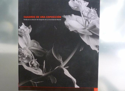 Portada del libro de Cuadros De Una Exposición. Fondos De La Colección De Fotografía De La Comunidad De Madrid 2003 153pp